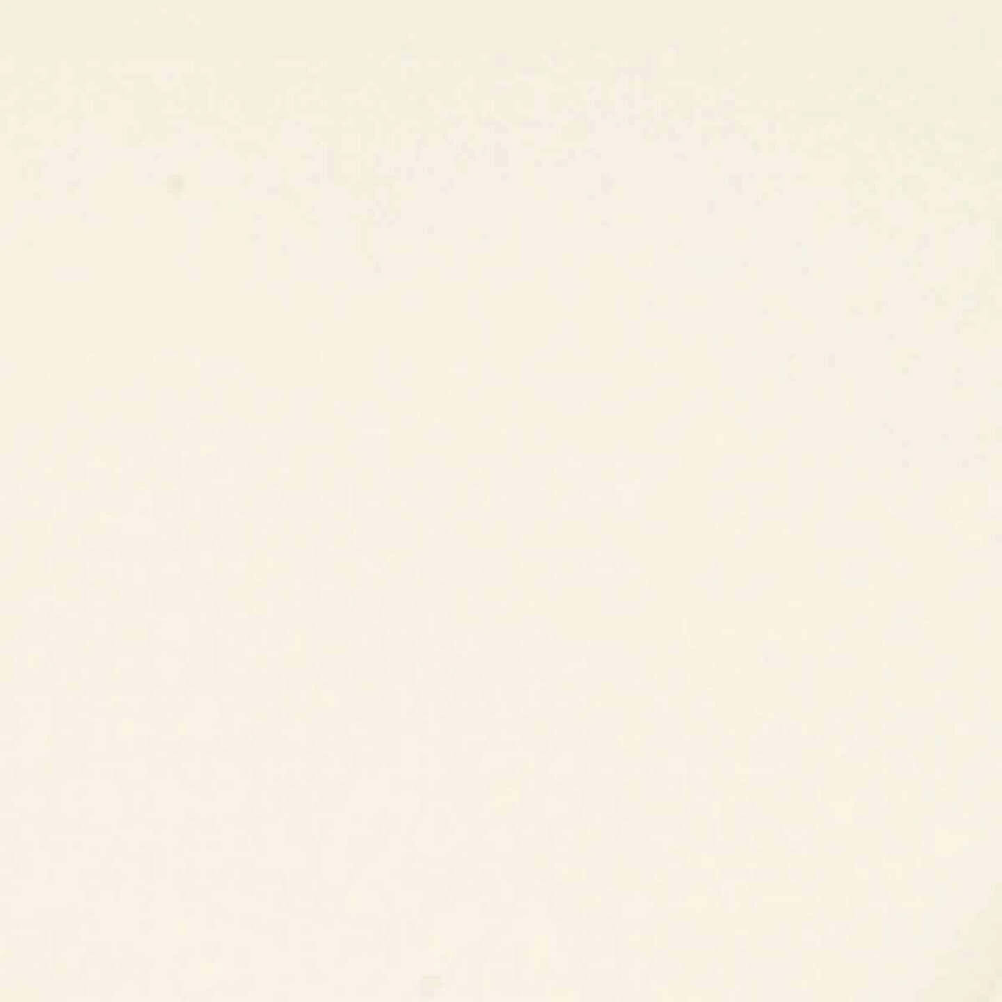 Outdoor Expressions 9 Ft. Aluminum Tilt/Crank Cream Patio Umbrella 2 Outdoor Expressions 9 Ft. Aluminum Tilt/Crank Cream Patio Umbrella - Image 2