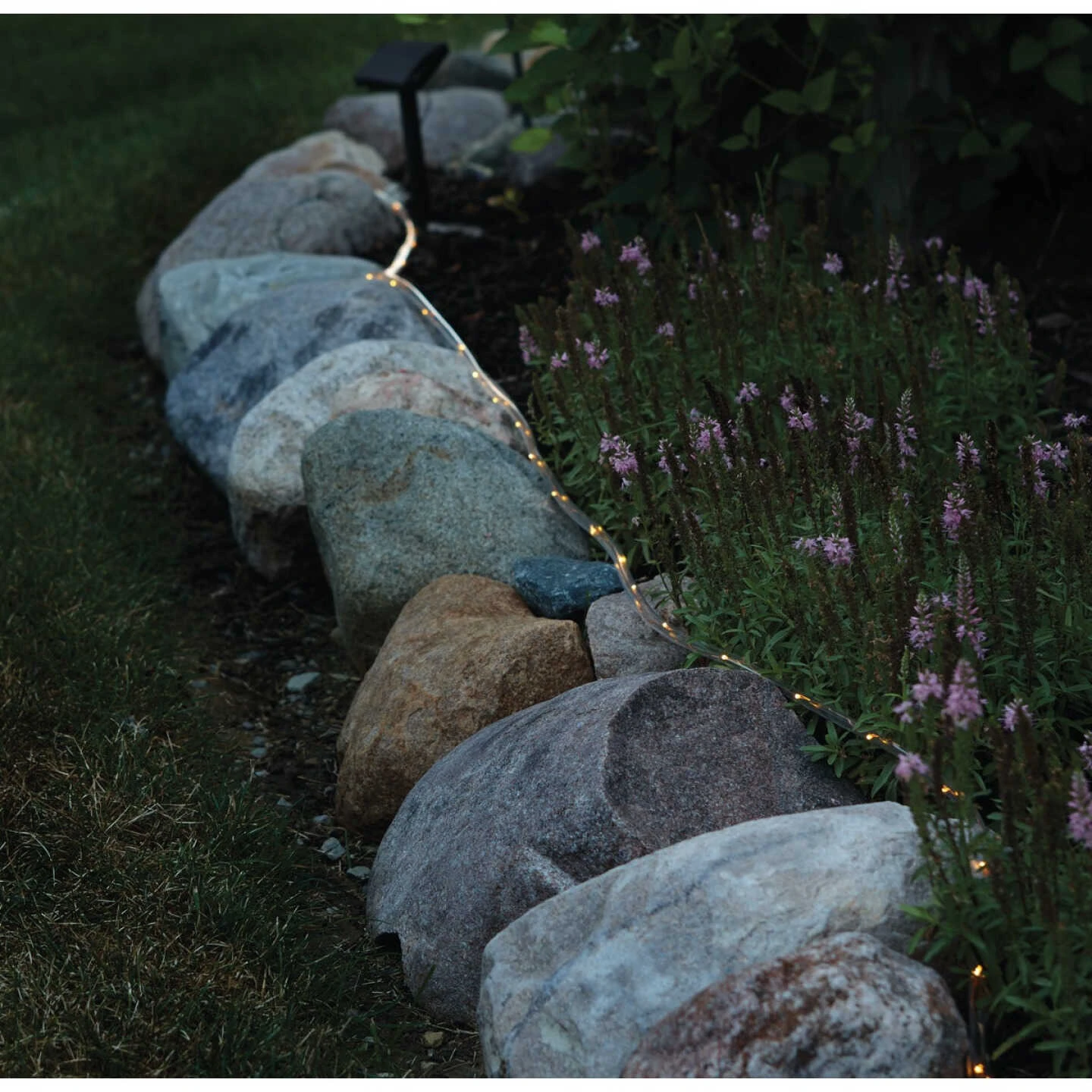 Outdoor Expressions 28 Ft.100-Light LED Warm White Solar Rope Light 3 Outdoor Expressions 28 Ft.100-Light LED Warm White Solar Rope Light - Image 3